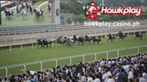 Ang mga bettors ay maaaring matutong bumuo ng kanilang sariling horse racing sports betting system