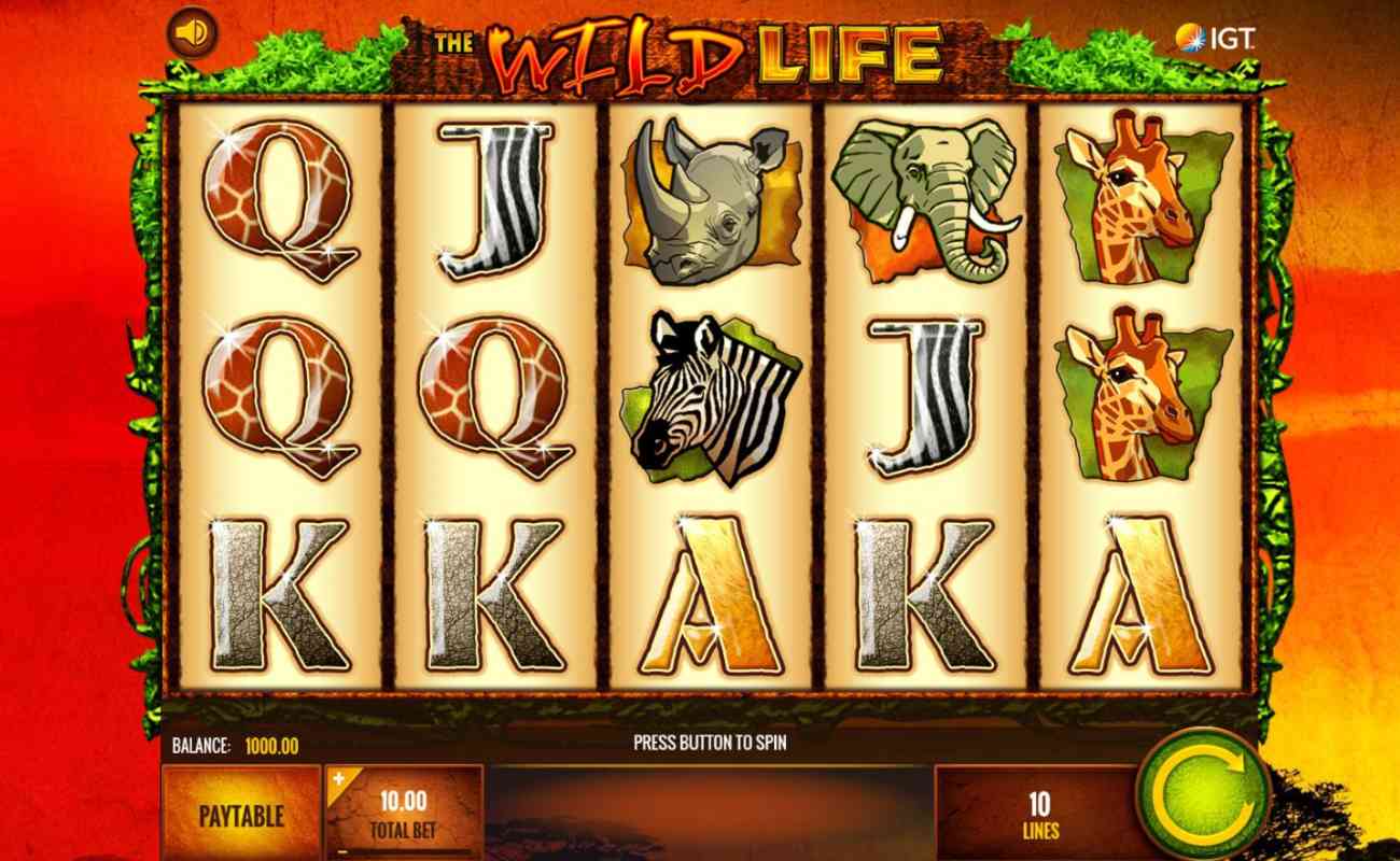 Slot Game Review ng:The Wild Life 2 Hawkplay-Slot1