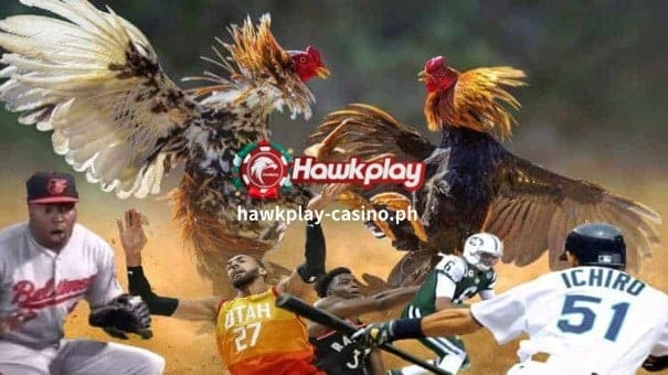 Sabong Legal na Pagsusugal ng sa Pilipinas 2 Hawkplay Online Casino-Sabong 1