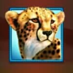 Stampede Slot napakaraming papremyo iyo! 3 Hawkplay Online Casino-Slot 2