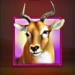 Stampede Slot napakaraming papremyo iyo! 7 Hawkplay Online Casino-Slot 6